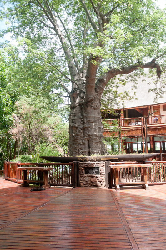 Mowana Safari Lodge