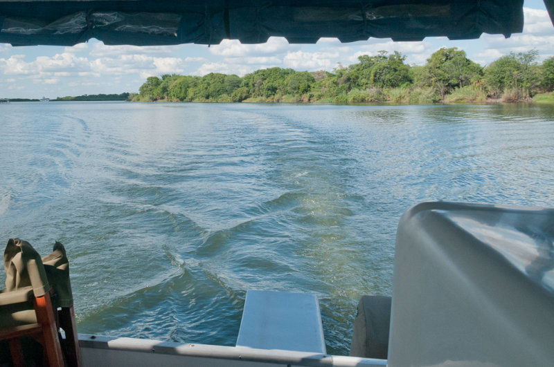 Safari fluvial sur la rivire Chobe