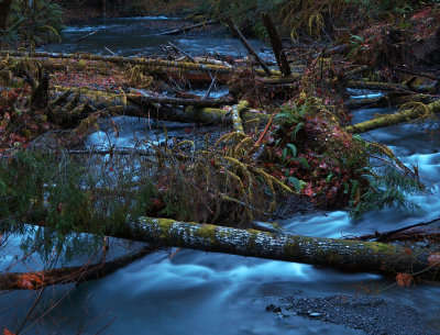 Barnes Creek At Dawn