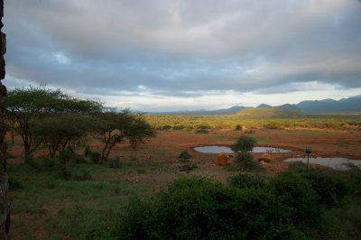 View from Kilaguni Serena Lodge