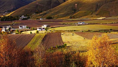 Tibet ء