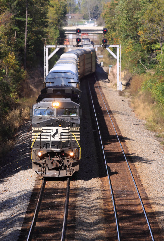 Ex-Con NS 8343 leads train 197 at Whitley 