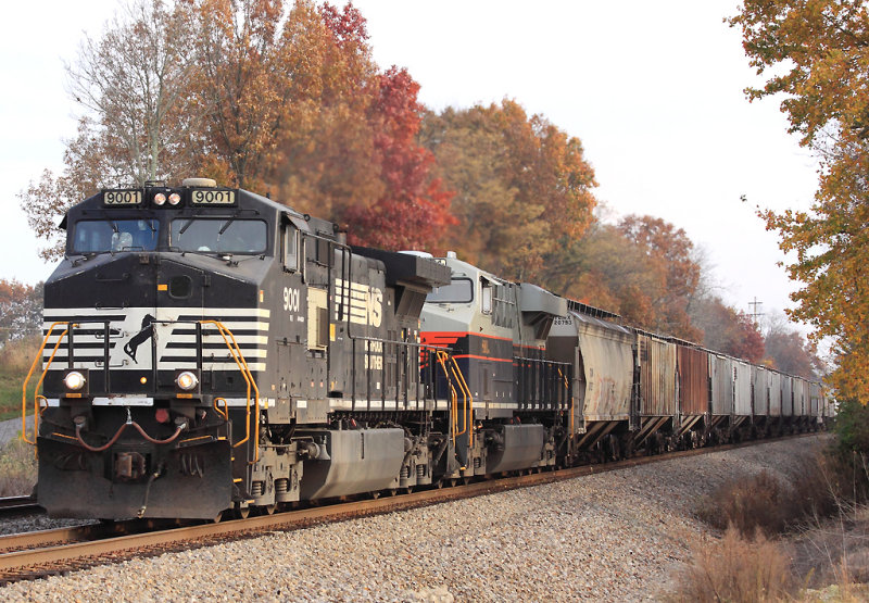 NS 54A at Gradison, with the CofG 8101 2nd out 