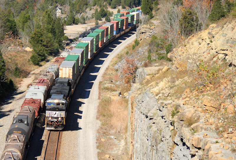 NS 215 passes a pair of Northbounds near Tateville 