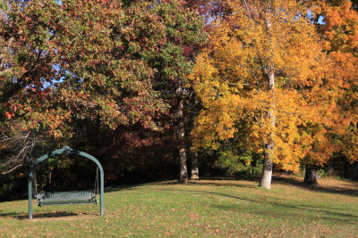 Fall color at High Bridge Park