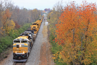 A yellow SD70Ace and orange in the tree's brighten up a cloudy day at East Harrodsburg 
