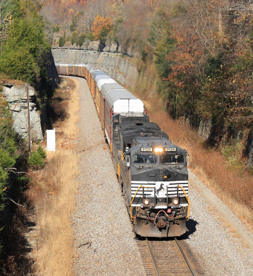 NS 275 with a mile of racks in the cut at Kings Mountain 