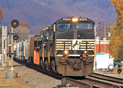 A standard issue catfish leads NS 175 at North Rockwood