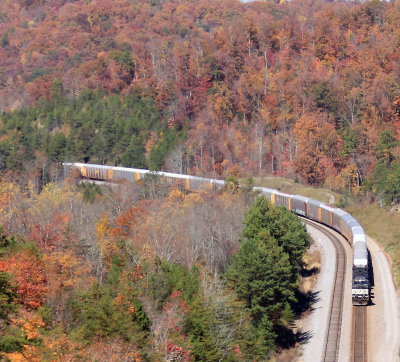 NS 275 rolls through the fall color near Keno 