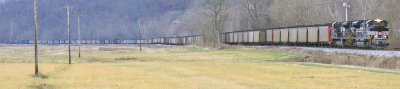 NYC 1066 leads 105 loads of Western KY coal up the valley at Spring Lick, KY. You can see the entire train in this view 