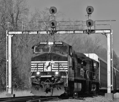 Southbound 275 crawls under the signals at Kings Mountain, almost ready to stall. 2 GE's, a 2% grade and 10,000 feet of train. 