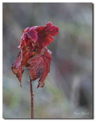 20121008_3458.JPG