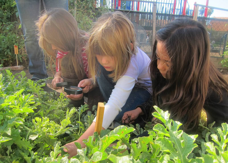 Kinders in the garden