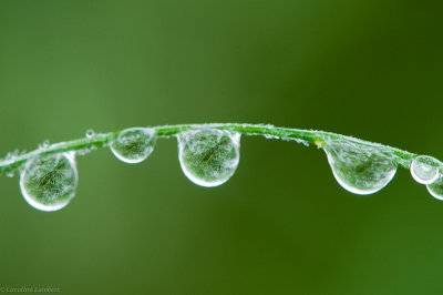 g2/36/1015636/3/147034854.qXFtYMk0.jpg