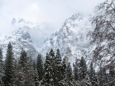 Snow in Yosemite