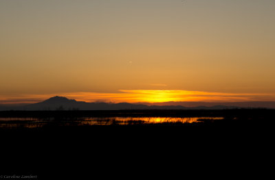 Mt Diablo at sunset