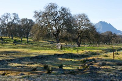 Sutter Buttes