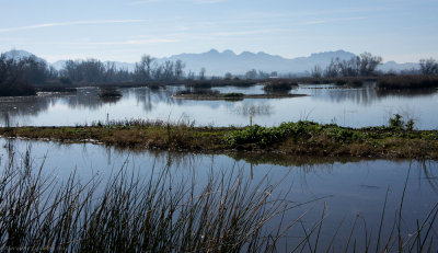 Gray Lodge Wildlife Area