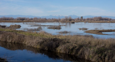 Gray Lodge Wildlife Area