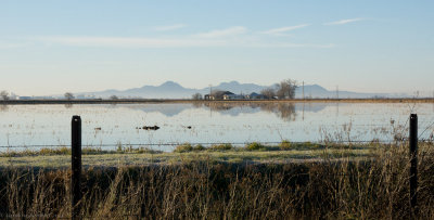 Sutter Buttes from 162