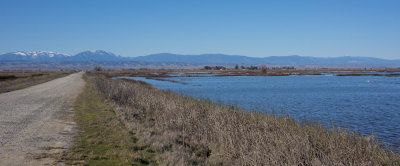 Non-bird Photos