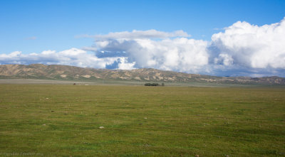 Panoche Valley Jan 2013