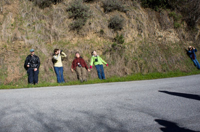 Birders