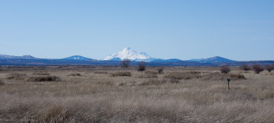Shasta from the east