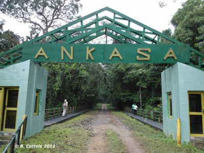 Ankasa National Park
