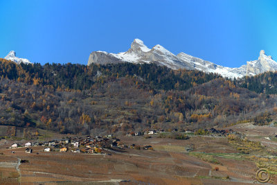 Vineyards on the foothills of the Swiss Alps