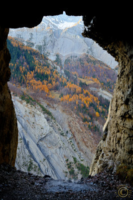 DSC_2036.JPG