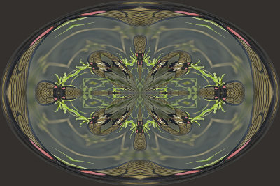 Kaleidoscope #4