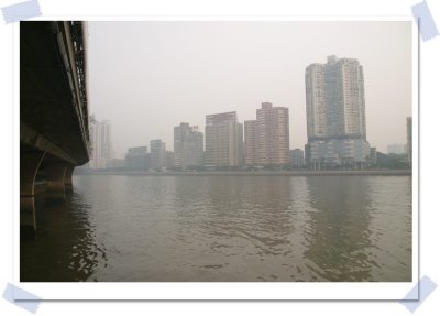IMG_9528.jpg