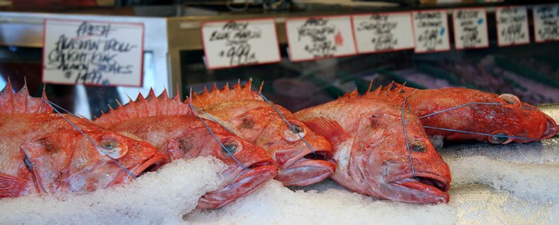 Annual Convention of the RSA (Red Snapper Association)