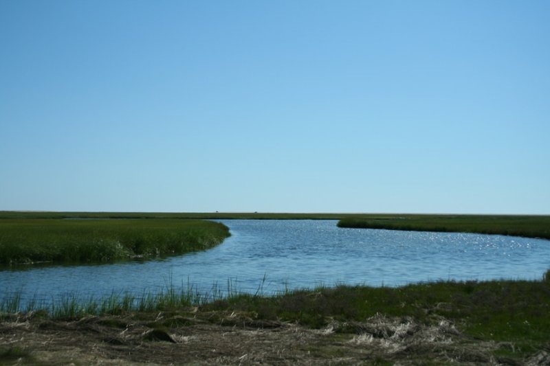 Boat Launch