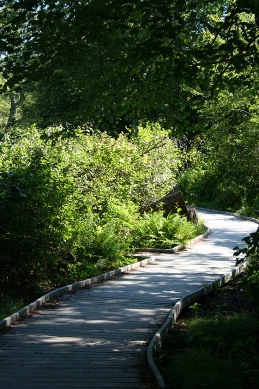 Boardwalk