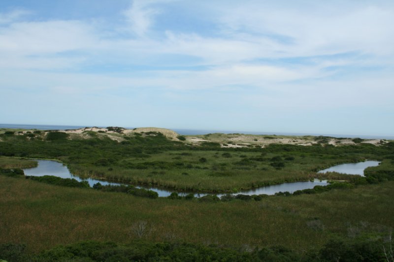 Ocean View from Pilgrim Heights