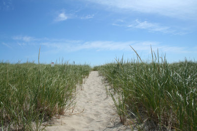 Path to Coast guard Beach