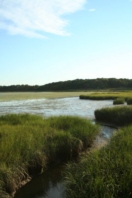 Nauset Marsh