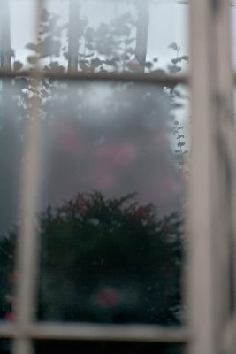 20130305-YJ3R1618b.jpg