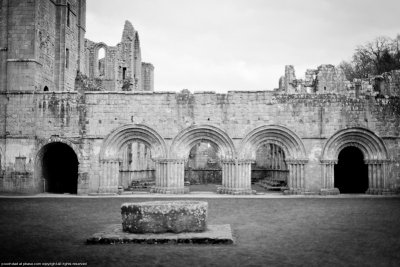 20130405-YJ3R3358.jpg