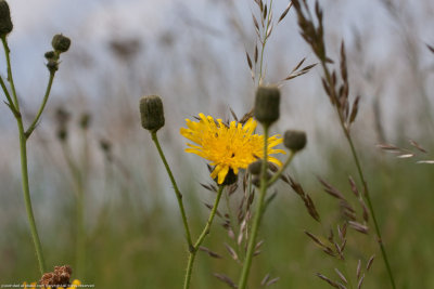 20110723-IMG_5821.jpg
