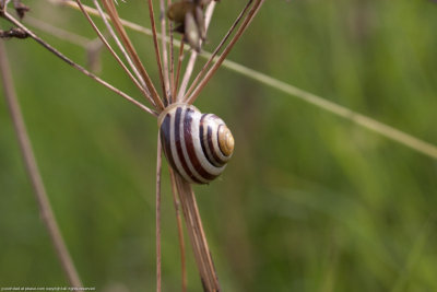20110723-IMG_5848.jpg