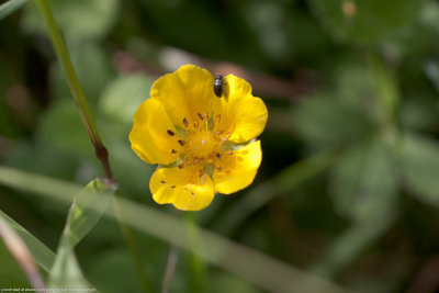 20110723-IMG_5908.jpg