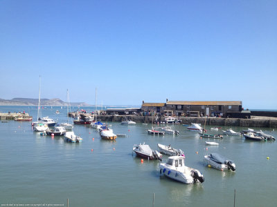 20130420-IMG_0665.jpg