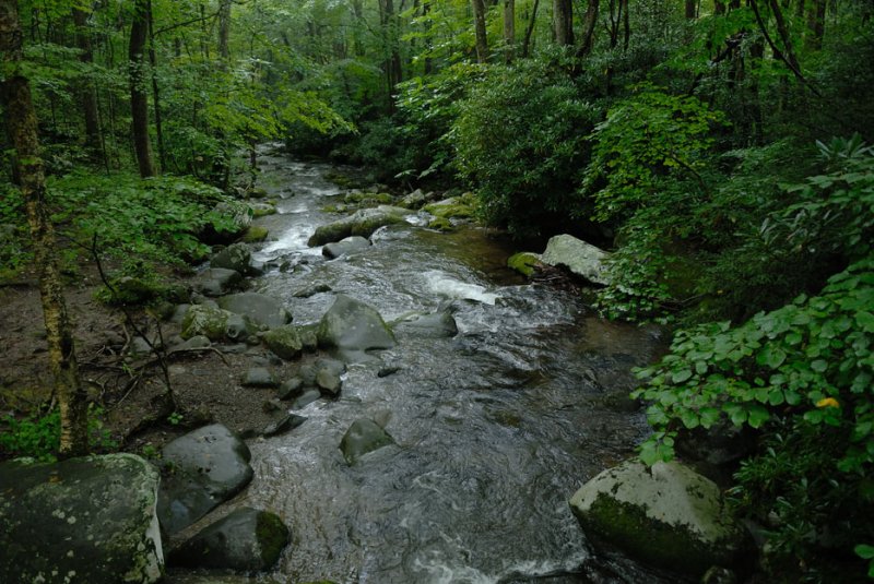 sept106d016.jpg