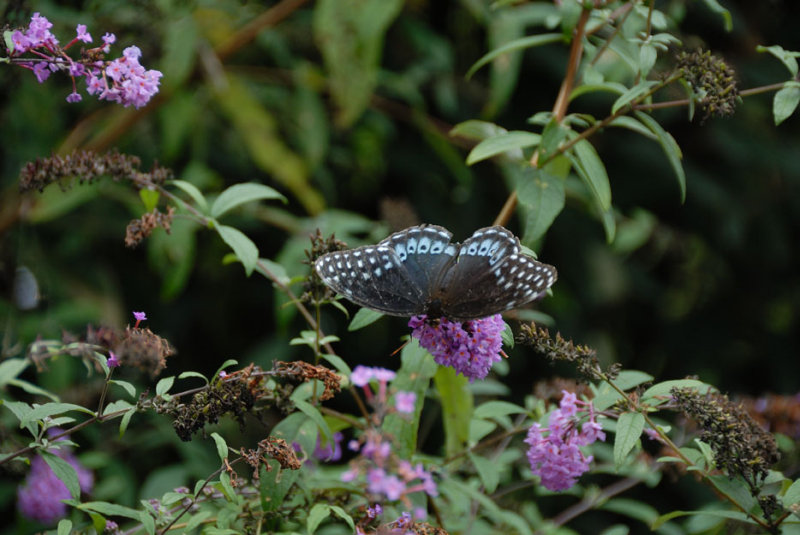 sept106d017.jpg