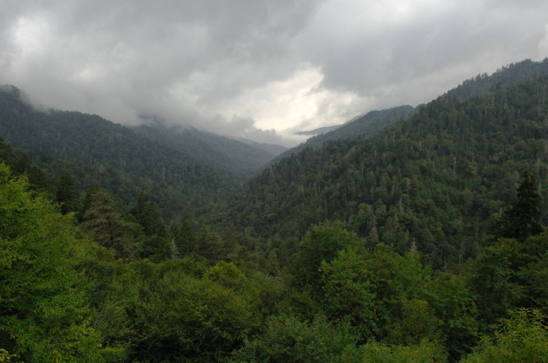 sept0206x002.jpg