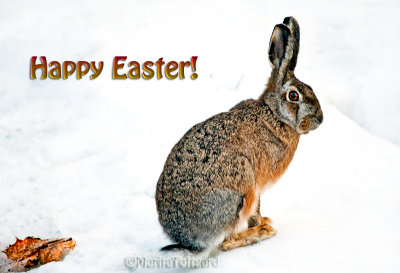 #Happy Easter or just Happy Weekend everyone!