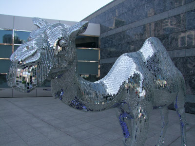 3 November 2012 Camel Bling Dubai UAE.jpg